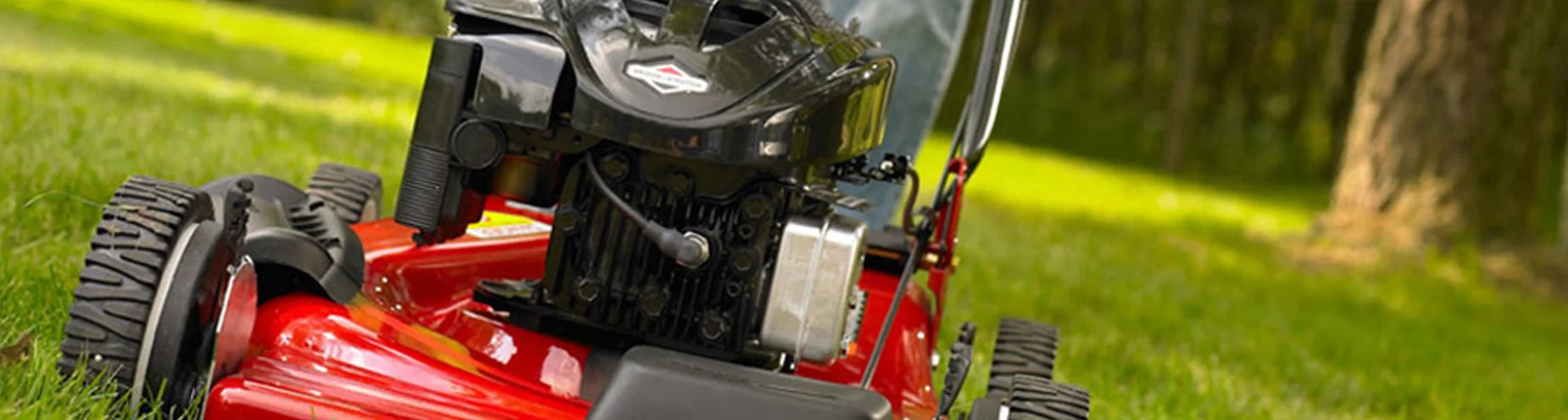 Briggs Stratton Generic Banner