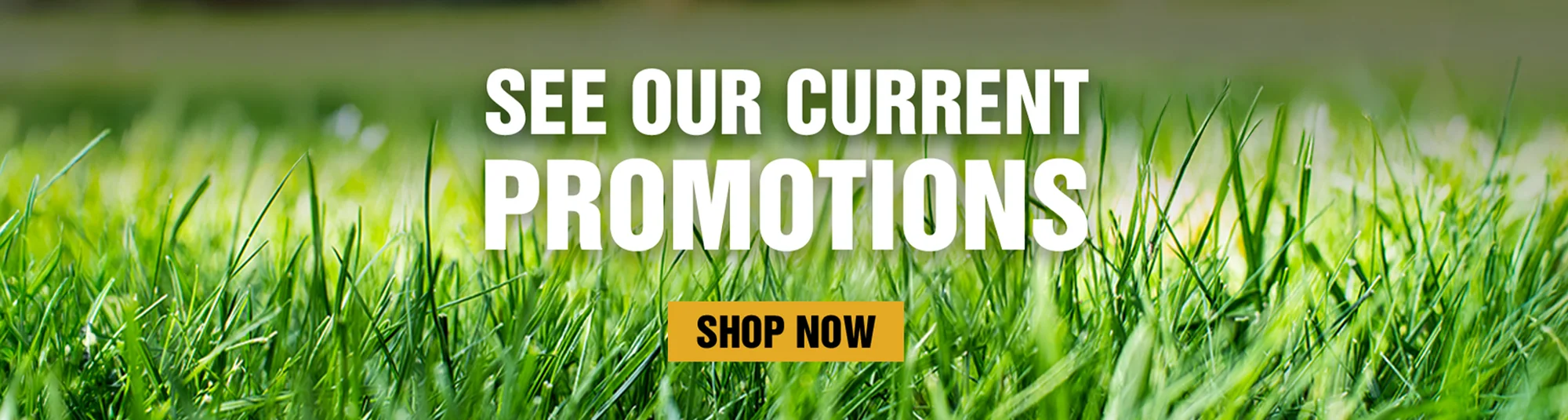 Current Promotions