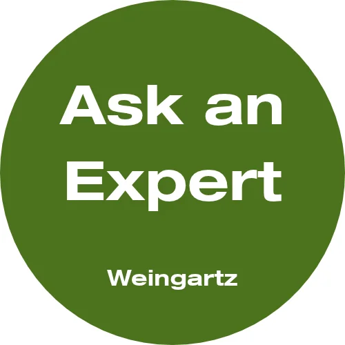 Expert